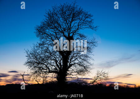 Aussicht vom Clifton Suspension Bridge in Bristol und Somerset UK Stockfoto