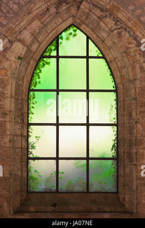 Ein gotisches Fenster an den mittelalterlichen Ruinen von Orval Abbey in Villers-Devant-Orval, Belgien Stockfoto