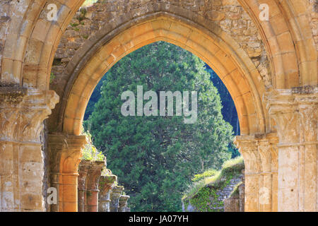 Gotische Bögen an den mittelalterlichen Ruinen von Orval Abbey in Villers-Devant-Orval, Belgien Stockfoto