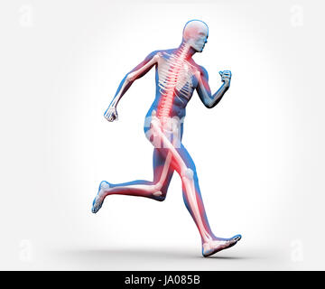 Blaue und rote digitale Skelett läuft vor einem weißen Hintergrund Stockfoto