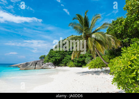 Schöne Aussicht mit blauem Himmel und Wolken, blaues Meer und weißen Sandstrand mit Kokospalme auf Similan Island, Nr. 8 in Similan Nationalpark, Phuket, Tha Stockfoto