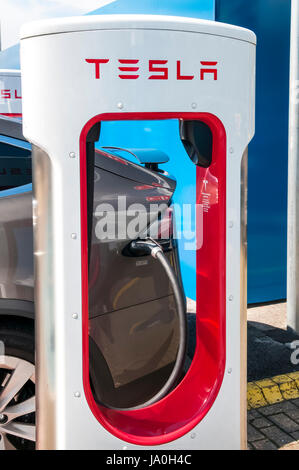 Elektro-Auto aufladen auf eine Ladestation für Elektroautos Tesla zeigen die Tesla, Name und logo Stockfoto