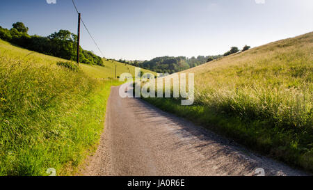 Eine typische einspurigen Feldweg durch Mähwiesen und Weiden auf sanften Landschaft in Dorset, England. Stockfoto