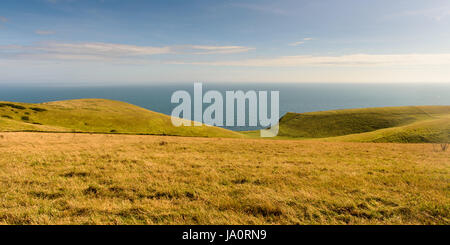 Grünland in The Warren, wo die sanften Hügel der South Dorset Downs am Ende in den Kreidefelsen von Bat Kopf auf der Jurassic Coast. Stockfoto