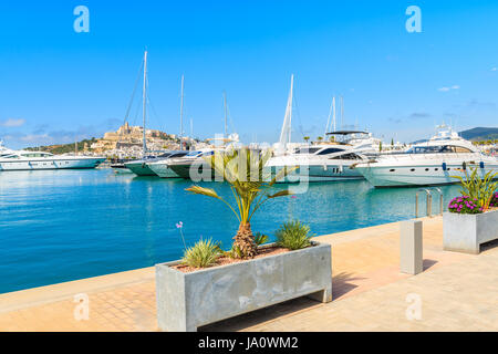 Luxus Motor und Segelboote im Hafen von Ibiza (Eivissa) auf der Insel Ibiza, Spanien Stockfoto