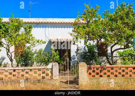 Altes Haus mit Zitronenbäumen im Garten auf der Insel Ibiza, Spanien Stockfoto