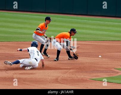 3. Juni 2017: Oklahoma State kurz stoppen Cameron Hobbs #5 Felder einen Ball vor zweiter Basisspieler Ryan Cash #1. Oral Roberts Golden Eagles besiegte die OSU Cowboys 14-6 Baum Stadium in Fayetteville, AR, Richey Miller/CSM Stockfoto