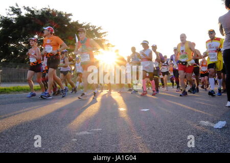 Durban, Südafrika, 4. Juni 2017. Kameraden Marathon. Teilnahme an der 2017 Kameraden Marathon Läufer sind auf ihrem Weg entlang der Strecke zwischen Durban und Pietermaritzburg in den frühen Morgenstunden außerhalb Westville jubelten. Bildnachweis: Paul Gregg Notizbuch Afrika/Alamy Live-Nachrichten Stockfoto