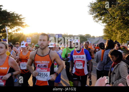 Durban, Südafrika, 4. Juni 2017. Kameraden Marathon. Teilnahme an der 2017 Kameraden Marathon Läufer sind auf ihrem Weg entlang der Strecke zwischen Durban und Pietermaritzburg in den frühen Morgenstunden außerhalb Westville jubelten. Bildnachweis: Paul Gregg Notizbuch Afrika/Alamy Live-Nachrichten Stockfoto