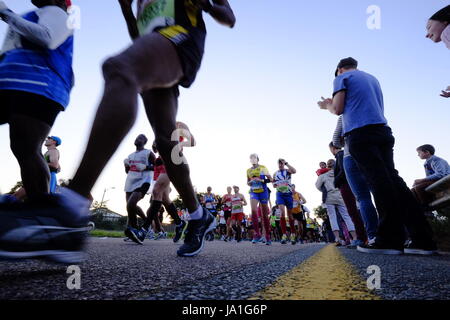 Durban, Südafrika, 4. Juni 2017. Kameraden Marathon. Teilnahme an der 2017 Kameraden Marathon Läufer sind auf ihrem Weg entlang der Strecke zwischen Durban und Pietermaritzburg in den frühen Morgenstunden außerhalb Westville jubelten. Bildnachweis: Paul Gregg Notizbuch Afrika/Alamy Live-Nachrichten Stockfoto