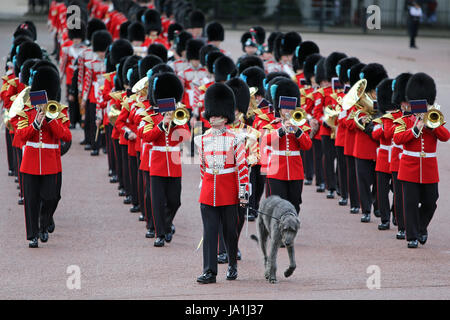 London, UK. 4. Juni 2017. Irish Guards Parade während der Generalmajor Überprüfung der Trooping die Farbe 2017, geführt von ihrem aktuellen Maskottchen, Irish Wolfhound Domhnall. Bildnachweis: Mark Davidson/Alamy Live-Nachrichten Stockfoto