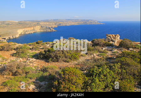 Küstenlandschaft Vegetation, blaues Meer, Blick nach Süden vom Res il-Qammieh, Marfa Halbinsel, Republik Malta Stockfoto