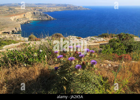 Küstenlandschaft der Klippen und Meer Blick nach Süden vom Res il-Qammieh, Marfa Halbinsel, Republik Malta Stockfoto