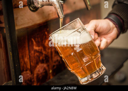 Barkeeper ein blondes Craft Bier in ein Pint Glas einfüllen Stockfoto