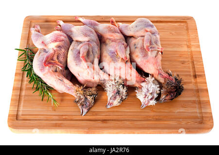 Lebensmittel, Nahrungsmittel, Vogel, frische, Kadaver, Wachtel, Fleisch, Jagd, Jagd, frisch, Stockfoto