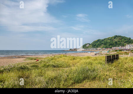 Blick über den Strand im Kamakura Seaside Park, Kanagawa, Japan Stockfoto