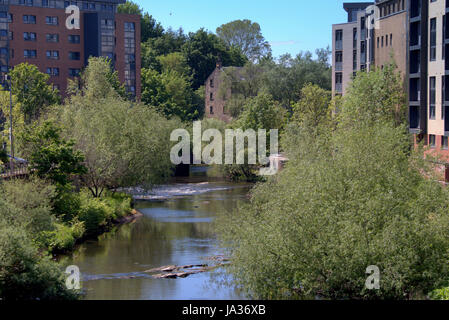 Kelvin River bei Partick Glasgow auf der Suche nach Süden in Richtung Benalder Street Bridge Stockfoto