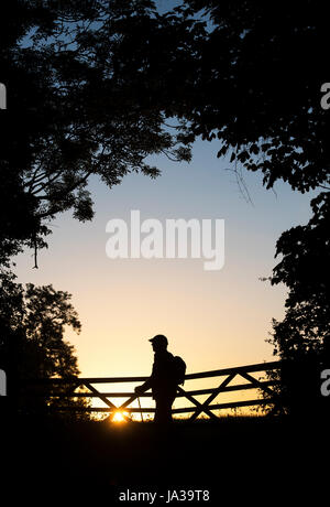 Silhouette Walker stehen durch ein Tor bei Sonnenaufgang in der englischen Landschaft. Cotswolds, Oxfordshire, England Stockfoto