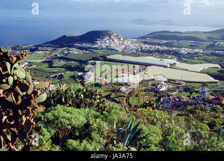 Übersicht von Montaña de Arucas. Gran Canaria Insel, Kanarische Inseln, Spanien. Stockfoto
