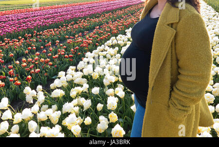 Eine schwangere Frau stehen in einem wunderbaren Blumen mit ihren Händen in den Taschen der gelben langen Mantel. Stockfoto