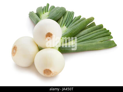 weiße Zwiebeln, isoliert Stockfoto