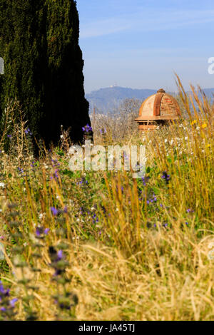 Vedette durch wilde Blumenwachstum gesehen, Castell de Montjuic, Barcelona, Katalonien, Spanien. Schärfentiefe Stockfoto