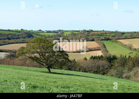 Ackerland und Landschaft in der Nähe von Truro in Cornwall, England, uk. Stockfoto