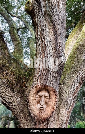 St. Simons Island Baum Geist, Magnolia Manor St. Simons Island, Georgia Stockfoto