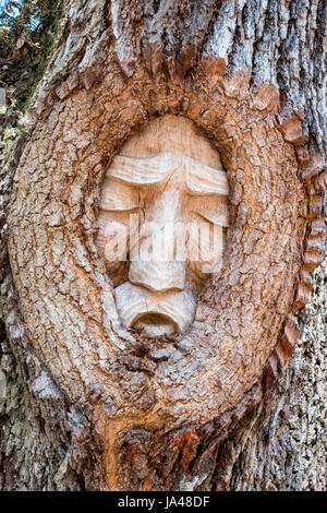 St. Simons Island Baum Geist, Magnolia Manor St. Simons Island, Georgia Stockfoto