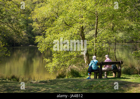 Älteres Ehepaar genießen Sie die Landschaft bei Llyn Mair in Snowdonia National Park, North Wales, Großbritannien. Stockfoto