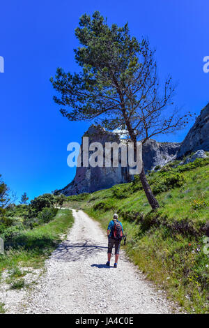 Weibliche Walker in Shorts mit Rucksack, auf der Schiene, mit Kiefern- und Kalkgestein Stockfoto