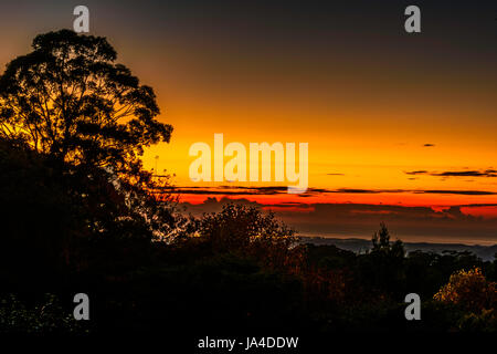 Sonnenaufgang am Mount Murray, NSW Stockfoto