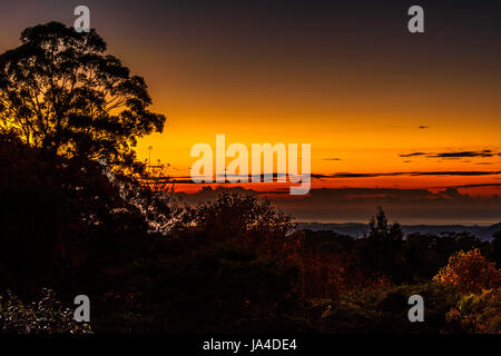 Sonnenaufgang am Mount Murray, NSW Stockfoto