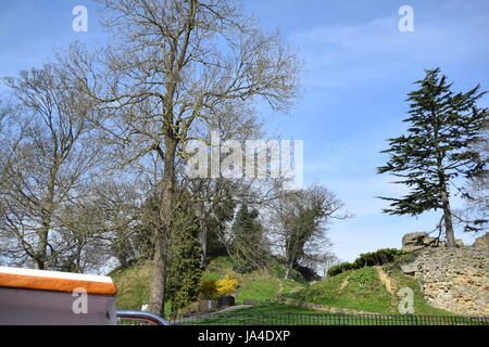 Tonbridge Castle 2017 Stockfoto