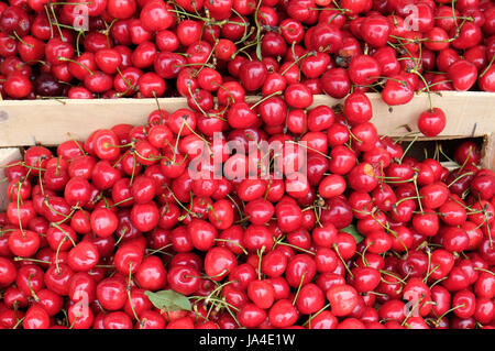 rote Kirschen auf Marktstand Stockfoto