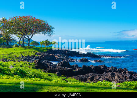 Brandung gegen die Felsen in Wailea, Hawaii Stockfoto