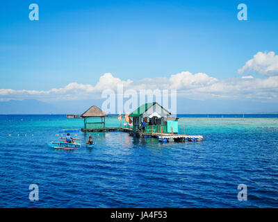 Davao, Philippinen - Insel Samal, Heimat der reichen Unterwasserwelt und wunderschönen Gewässern. 2km von Davao City. Davao Schnorcheln. Stockfoto