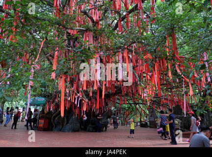 HO CHI MINH CITY, VIET NAM-1. Juni 2017: Leute hängen rote Schleifen auf Liebe Baum bei Suoi Tien Touristengebiet, Platz für kulturelle Reisen, Vietnam Stockfoto