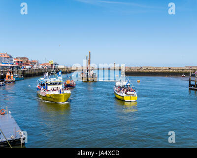 Whitby Hafen mit zwei gelben Sportbooten und das alte Whitby Rettungsboot manövrieren um sicher die Bagger Sansend im Gange in den Kanal passieren. Stockfoto