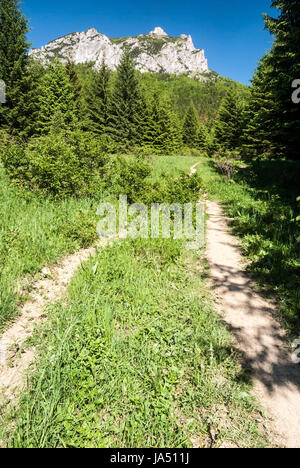 Bergwiese mit Wanderweg aboce stefanova Siedlung und felsigen Velky Rozsutec Hügel oberhalb im Frühjahr Mala Fatra Gebirge in der Slowakei Stockfoto