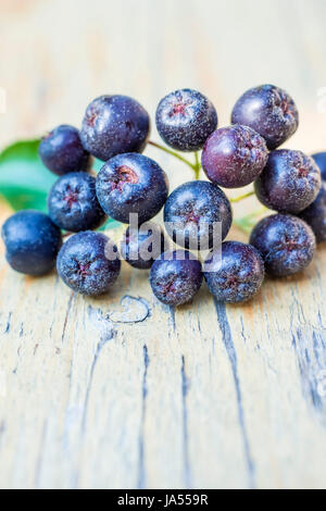 Erkältung, Katarrh, Obst, Prophylaxe, Makro, Nahaufnahme, Makro-Aufnahme, Nahaufnahme Stockfoto