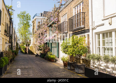 Elegante Häuser in einer kleinen exklusiven Mews mit Cobble stone street in South Kensington, London, UK Stockfoto