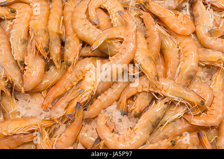 Tigergarnelen auf Sales bei Sydney Fish Market, New South Wales, Australien. Stockfoto