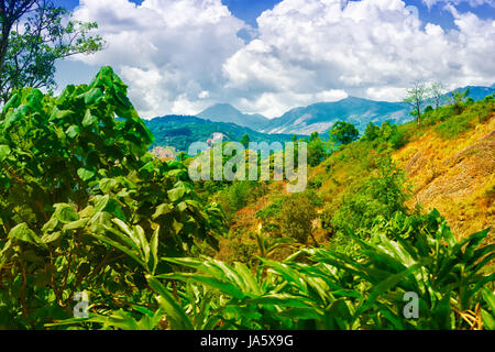 Szene von Indien mit Hügeln und grünen Plantagen Kardamom und blauer Himmel, Kerala, Munnar, Indien Stockfoto