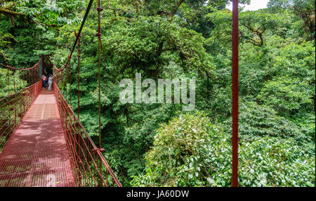 Brücke im Regenwald von Monteverde Stockfoto