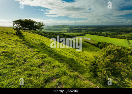 Frühling am Nachmittag an South Downs Way, East Sussex, England. Stockfoto