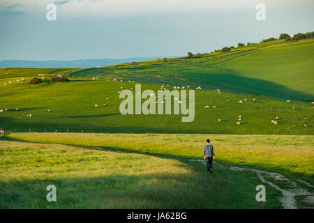 Wanderer auf South Downs Way in der Nähe von Ditchling Beacon, East Sussex, England. Stockfoto