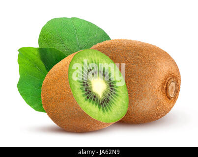 Kiwi isoliert auf weißem Hintergrund Stockfoto