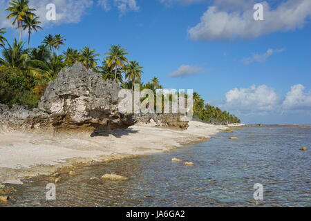 Atoll Tikehau Küstenlandschaft mit Kokospalmen und ausgewaschene Felsen am Meeresufer, Tuamotus Archipel, Französisch-Polynesien, Pazifischer Ozean Stockfoto