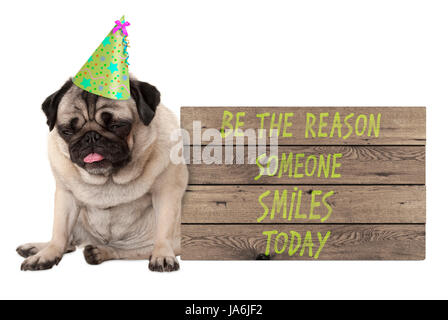 schlechte temperierten Mops Welpen Hund mit Holzschild mit Text werden der Grund, warum jemand heute lächelt isoliert auf weißem Hintergrund Stockfoto